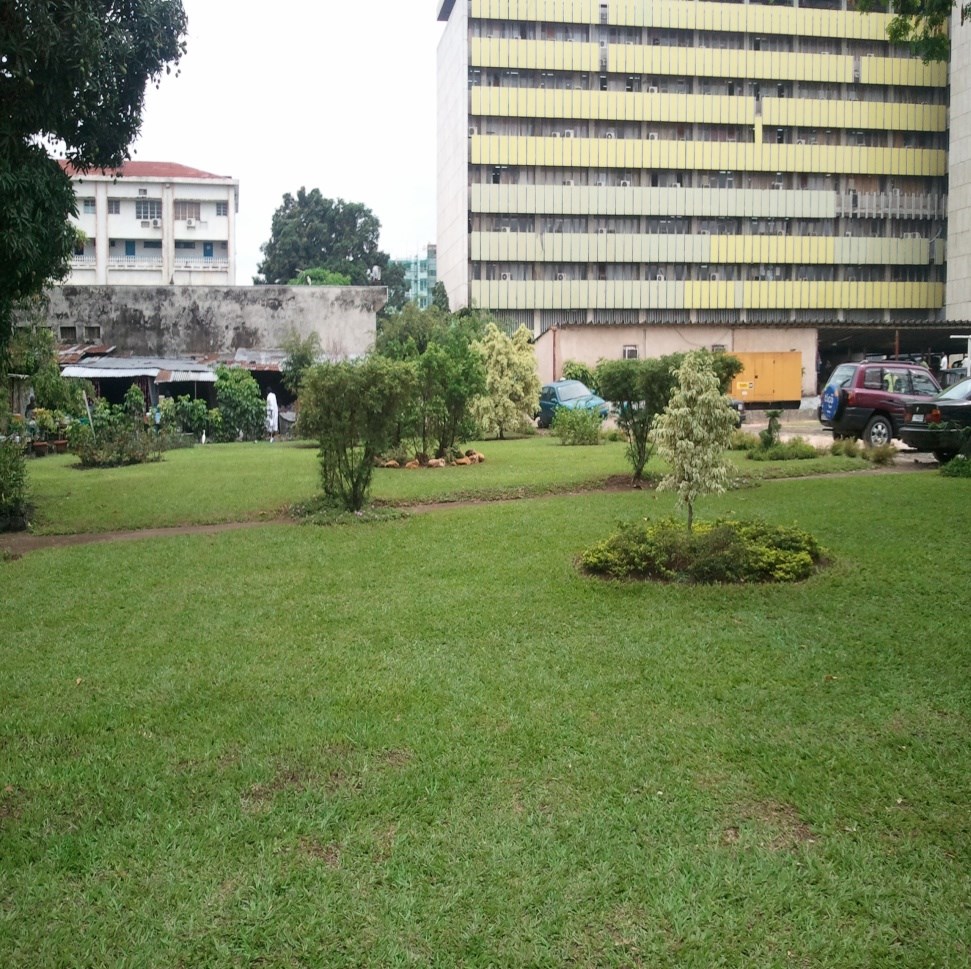 Aménagement floral et jardins