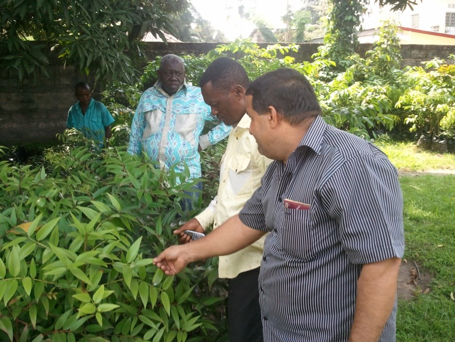 Inspection de pépinière