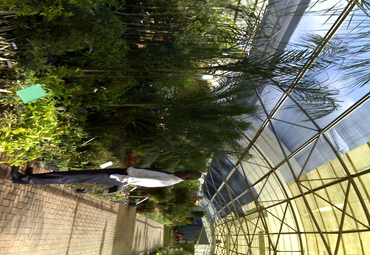 Aménagement d'espaces verts